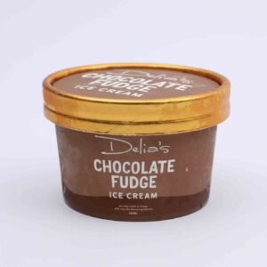 Delia’s Chocolate Chip Fudge Ice Cream 100ml