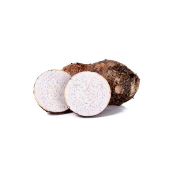 arrowroot