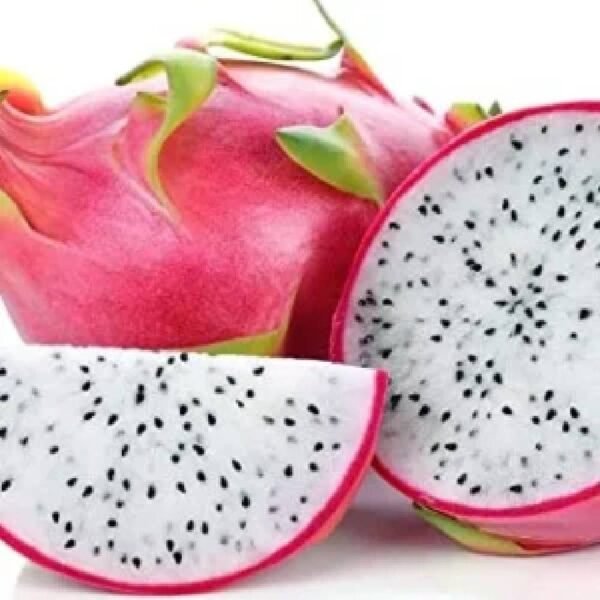 MZB00649 dragonfruit