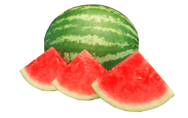 Watermelon watermelon