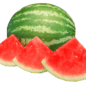 watermelon