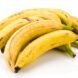 plantain