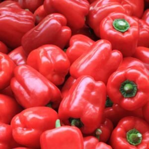 pepper