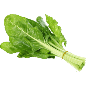 spinach