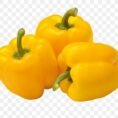 capsicum