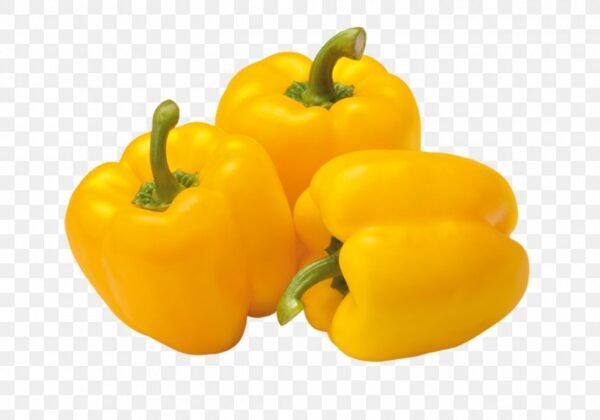 yellow 1 capsicum